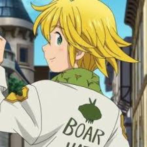 Meet your Posher, Cheeleng